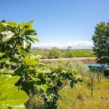 Luxury House Petrovic - Vranjina Skadar