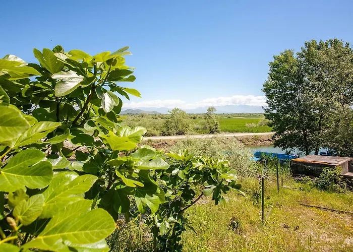 Luxury House Petrovic - Vranjina Skadar